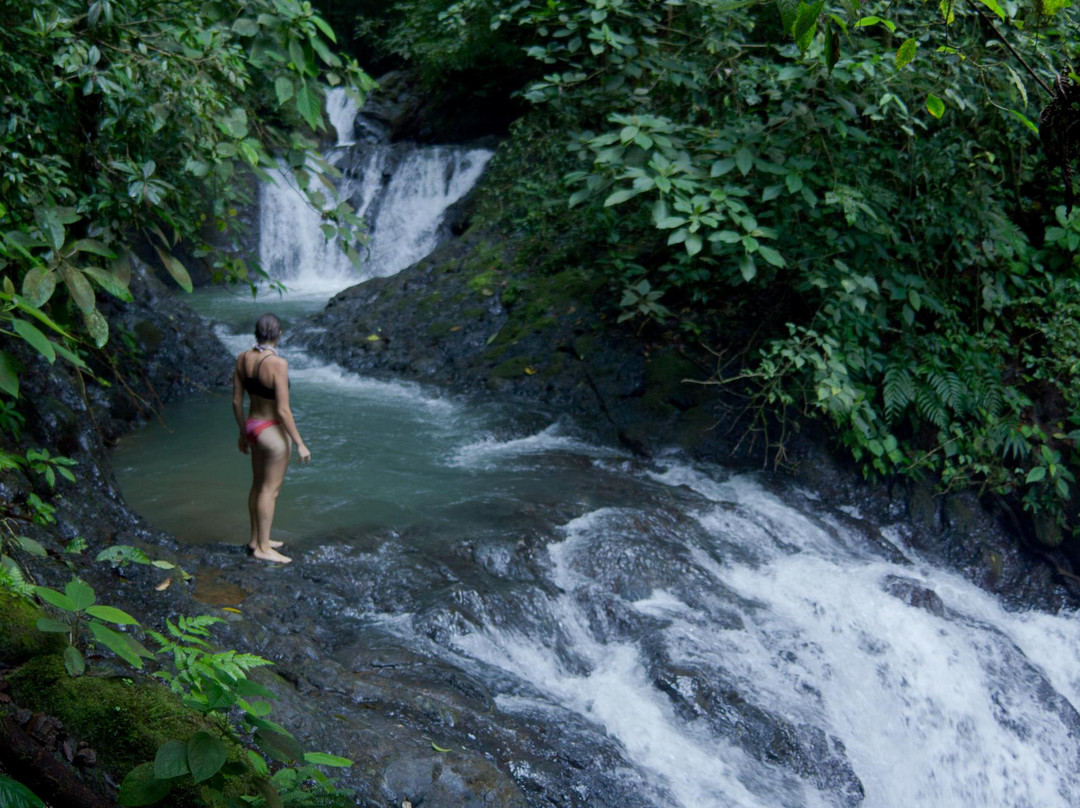 Costa Rica Waterfall Tours景点图片