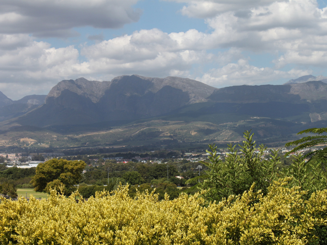 Aan de Paarlberg主图