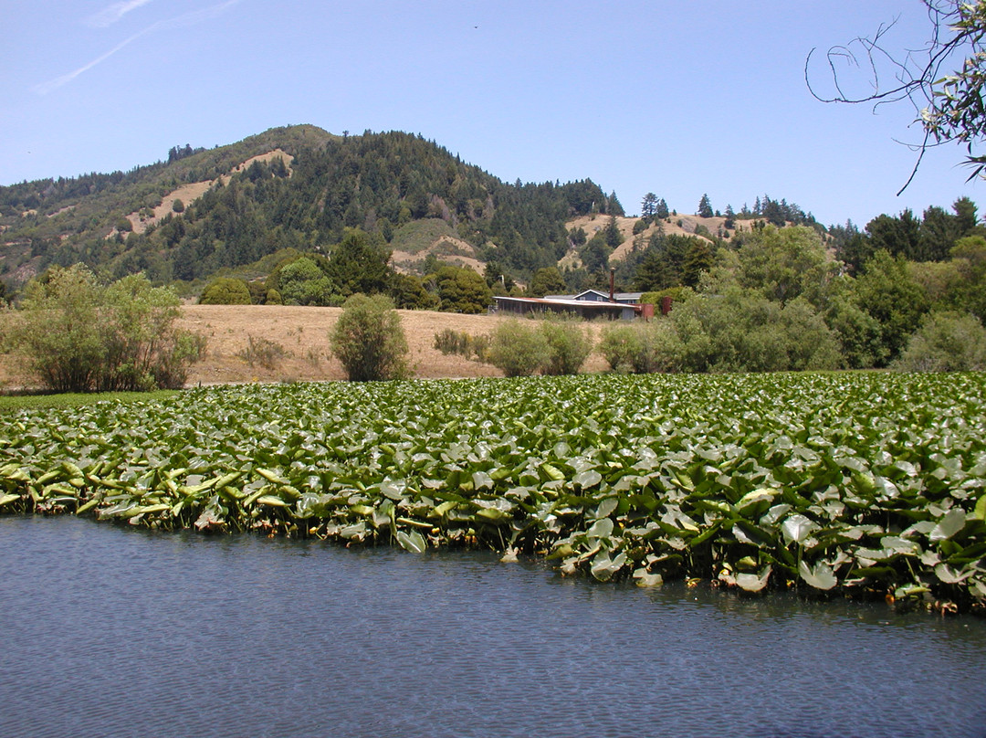 Casini Ranch Family Campground