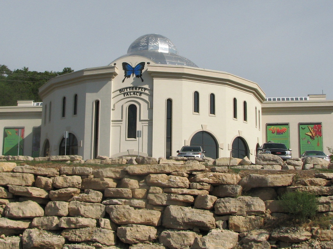 The Butterfly Palace-布兰森必去景点