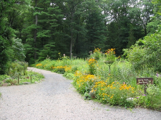 New England Wild Flower Society Garden in the Woods景点图片