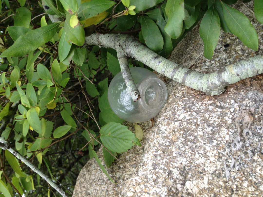 Rodman's Hollow-新肖勒姆必去景点