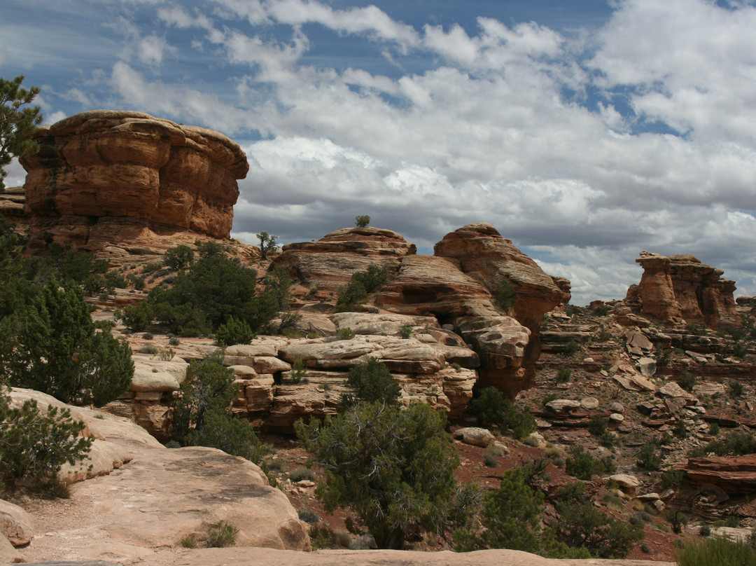 Big Spring Canyon Overlook-峡谷地国家公园必去景点