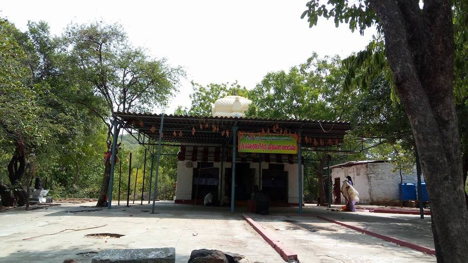 Sahasra Linga Temple景点图片