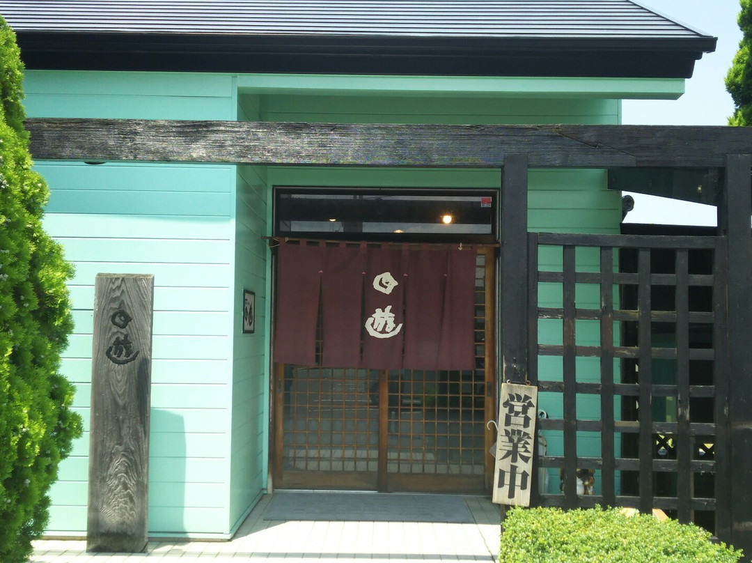 回遊