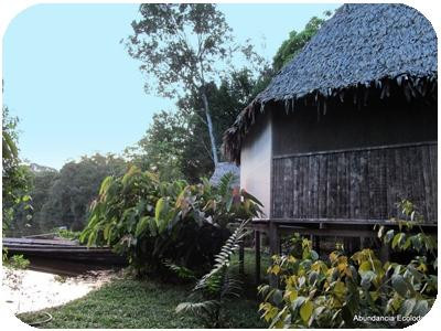 Abundancia Amazon Eco Lodge
