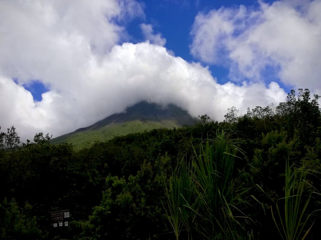 Parque Nacional Volcán Arenal景点图片