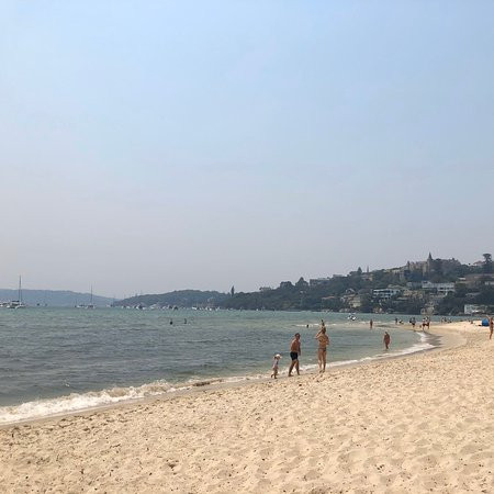 Rose Bay Beach景点图片