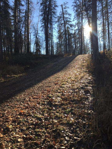 Clearwater Residence Hotel Timberlea