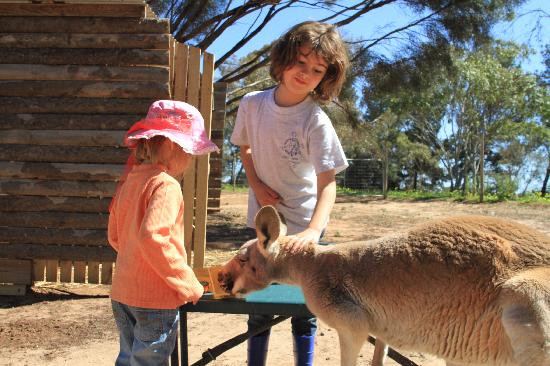 Oxley Farm