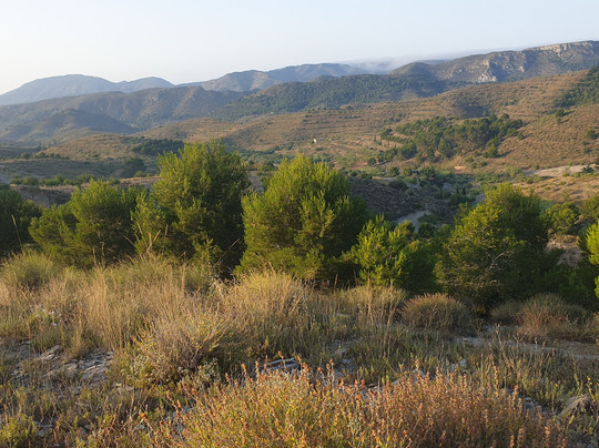 Cabezo De Los Calzones