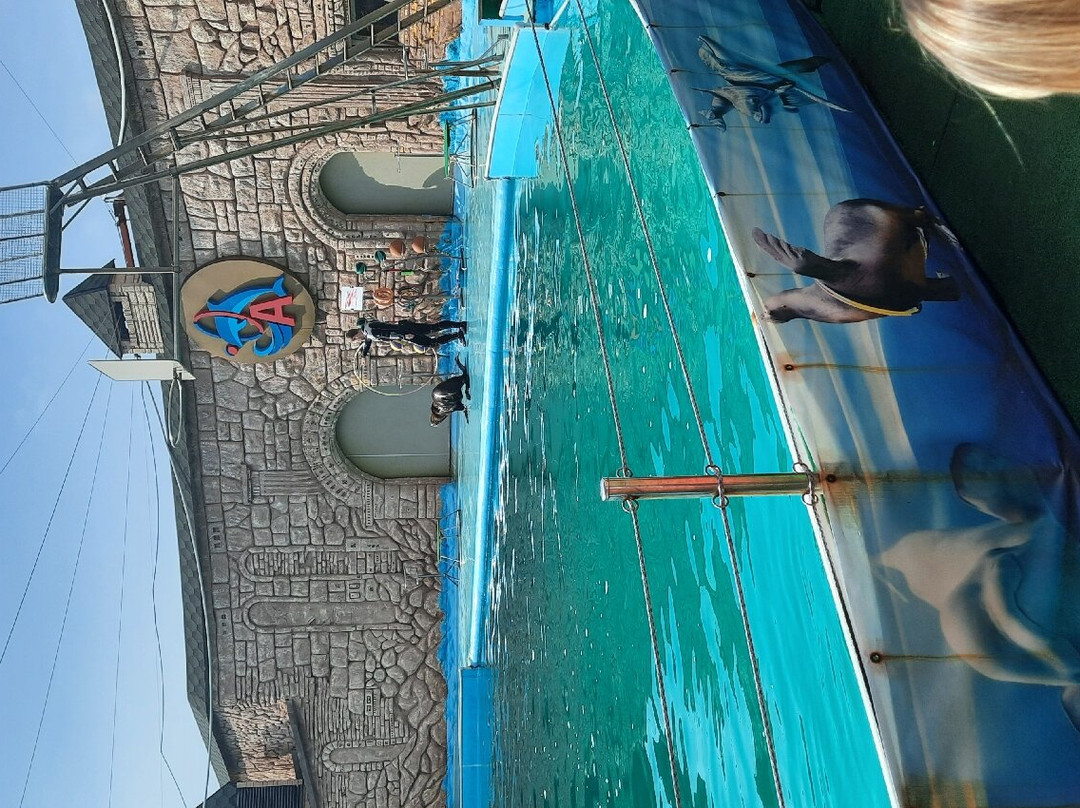 Adler Dolphinarium-索契必去景点