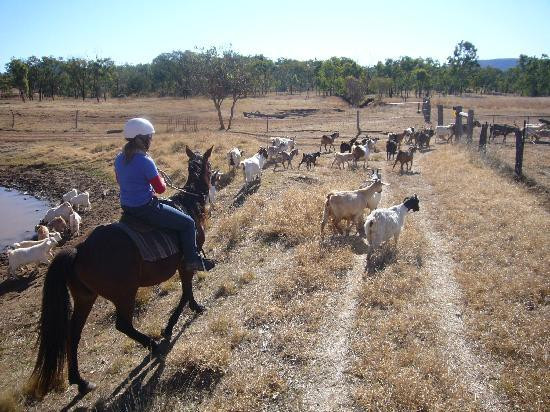 Kroombit Park-Biloela必去景点