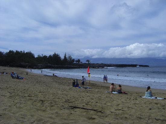 D.T. Fleming Beach Park景点图片