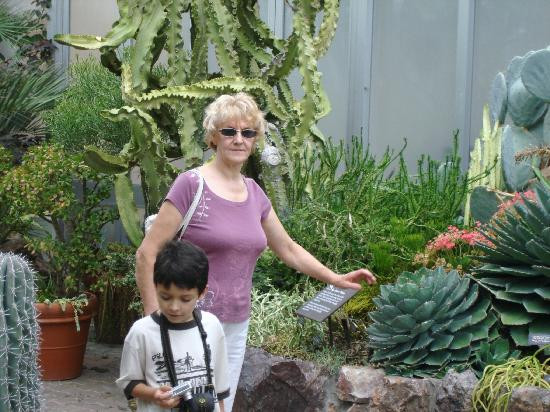 Chicago Botanic Garden-Glencoe必去景点