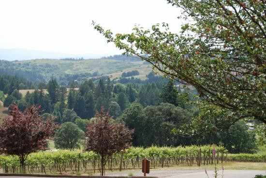Willamette Valley Vineyards-Turner必去景点