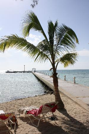 朗姆岬-大开曼岛必去景点