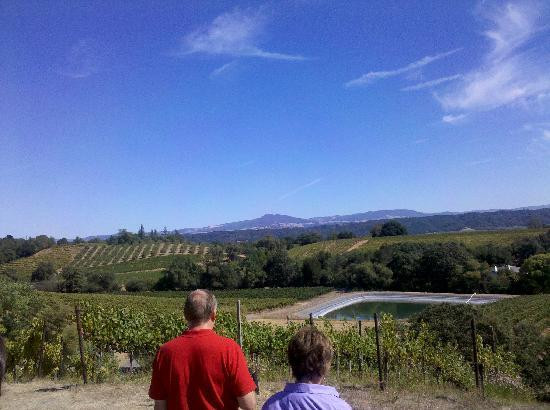 Michel-Schlumberger Wine Estate景点图片