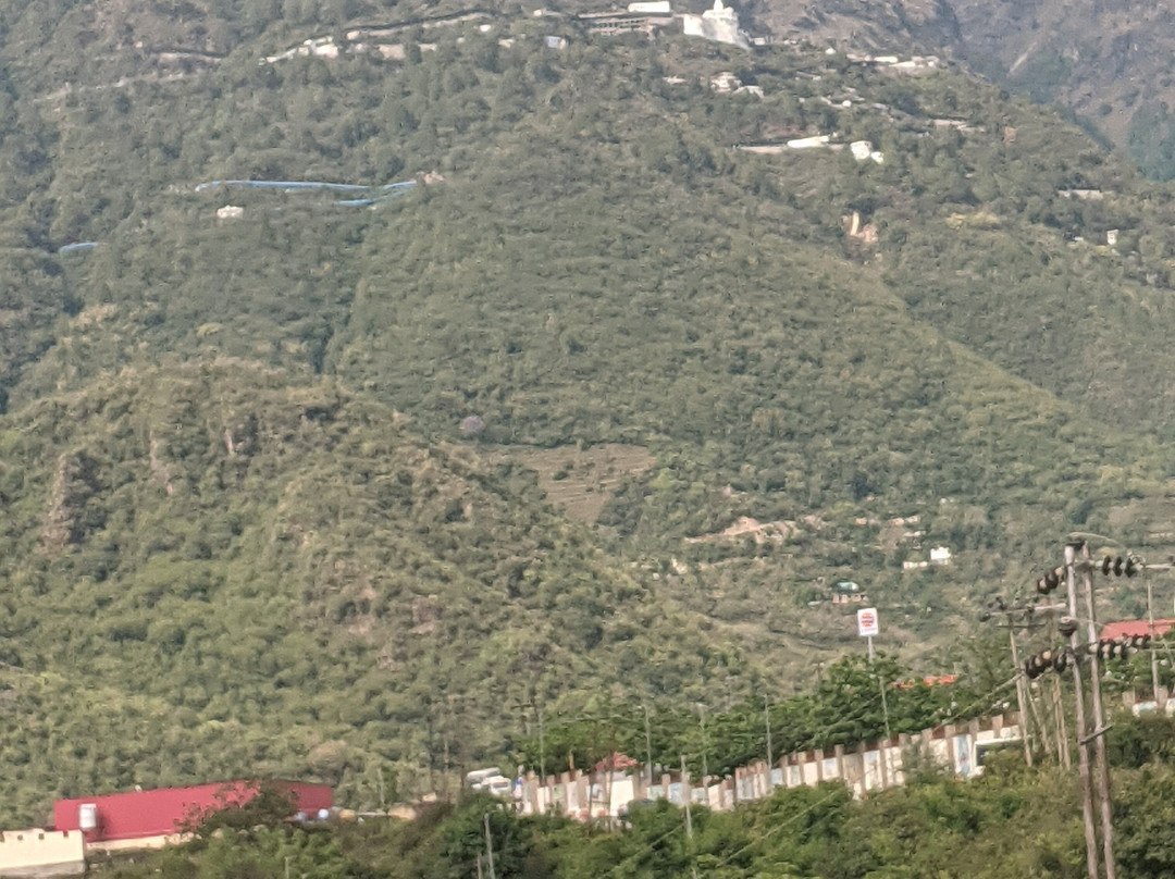 Welcomhotel By ITC Hotels, Katra主图