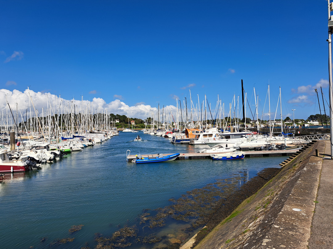 Port de la Trinité-sur-Mer-La Trinite-sur-Mer必去景点