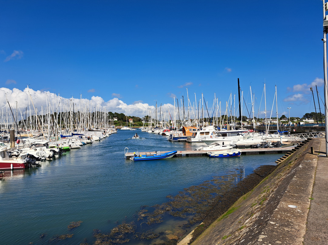 Port de la Trinité-sur-Mer景点图片