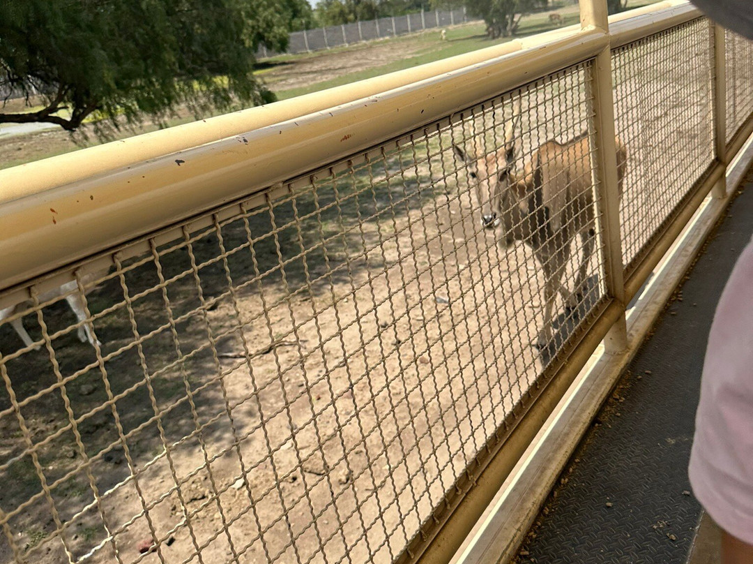 Reino Animal景点图片