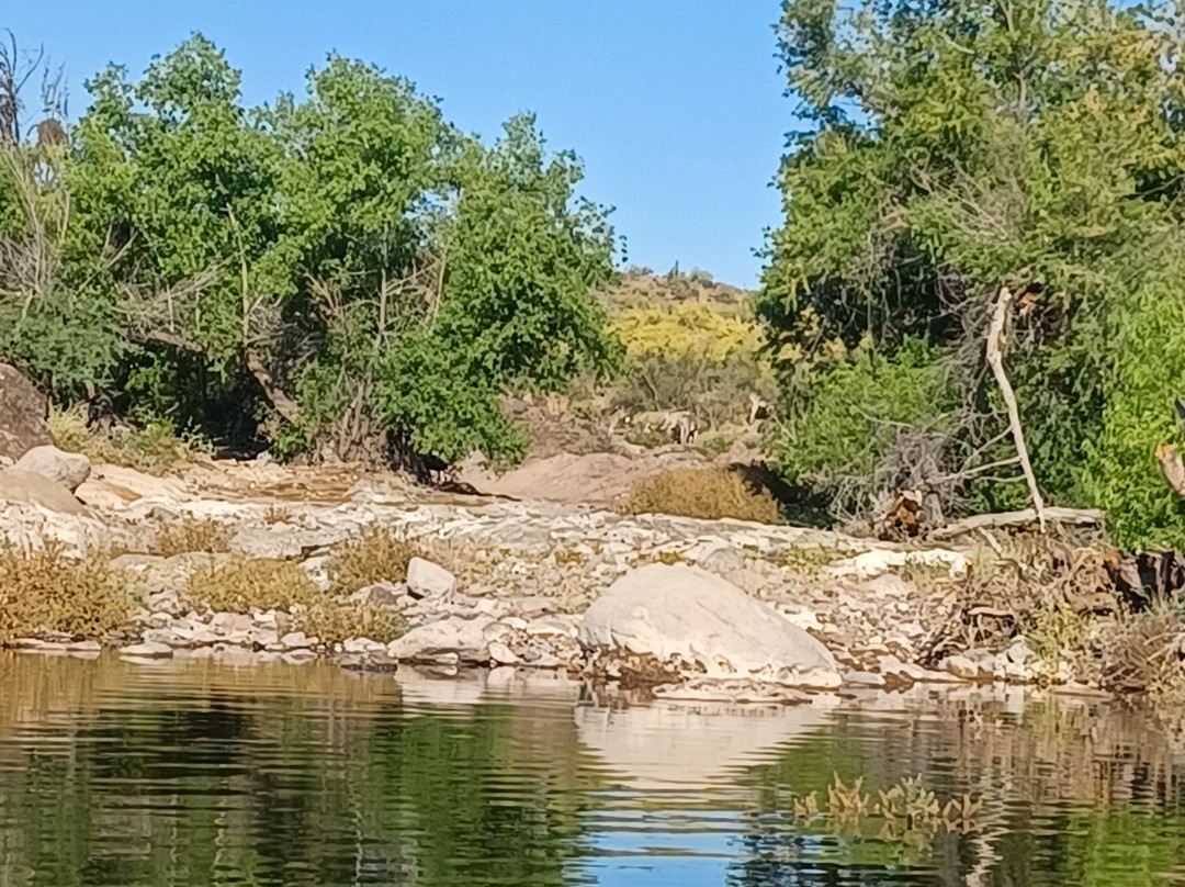 Desert Breeze Kayaking Tours-凤凰城必去景点