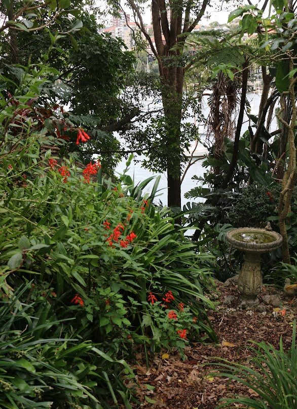 Cremorne Reserve景点图片
