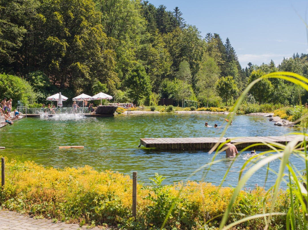 Waldcamping Birkendorf