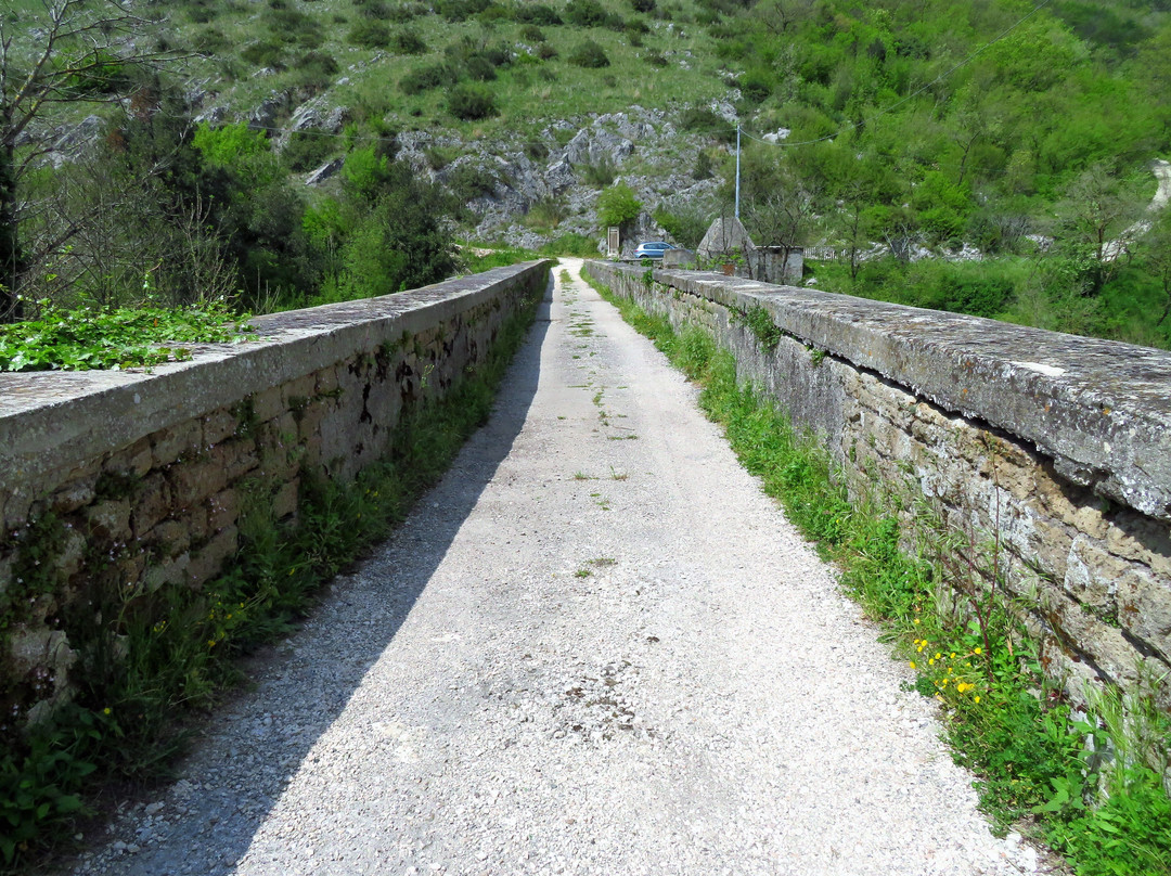 Ponte Tagliola景点图片