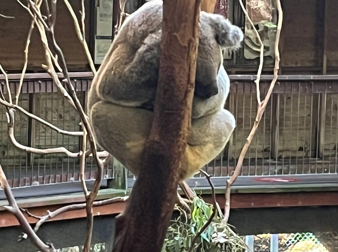 黑屁股保护区景点图片