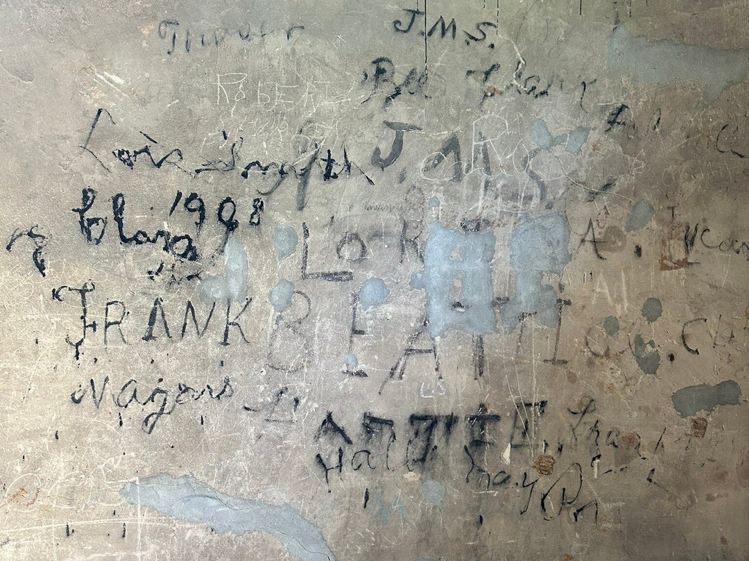 Falls Mill Log Cabin主图