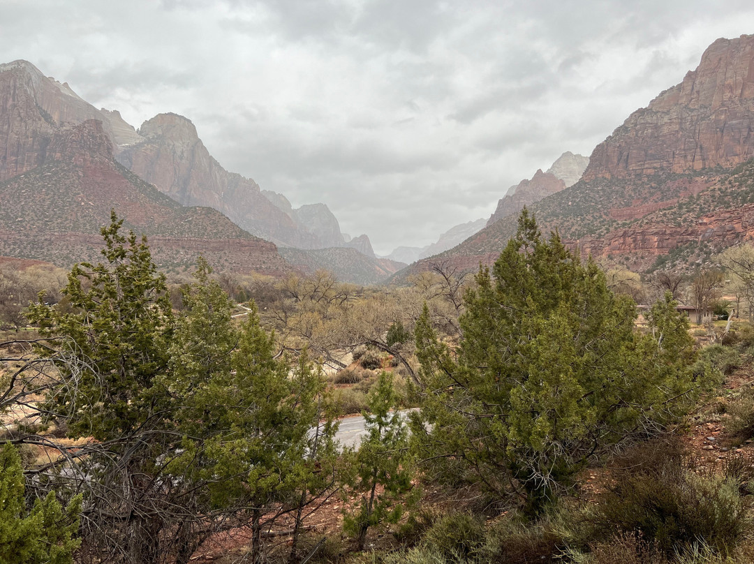 Zion's Main Canyon景点图片