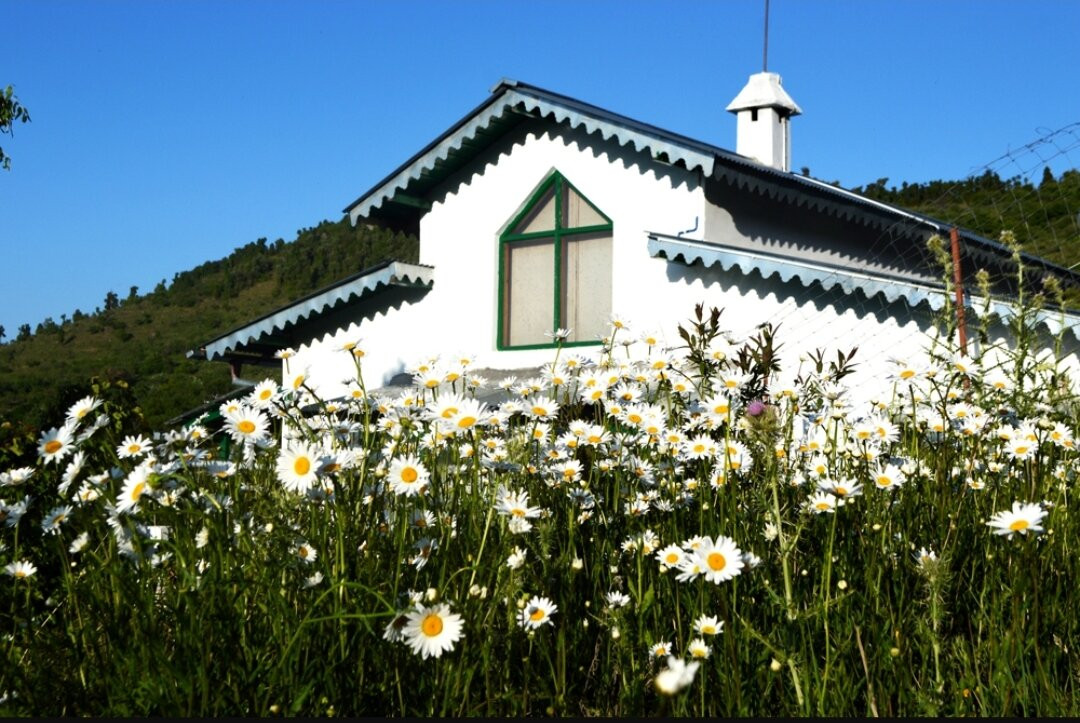 Rose Cottage, Hartola主图