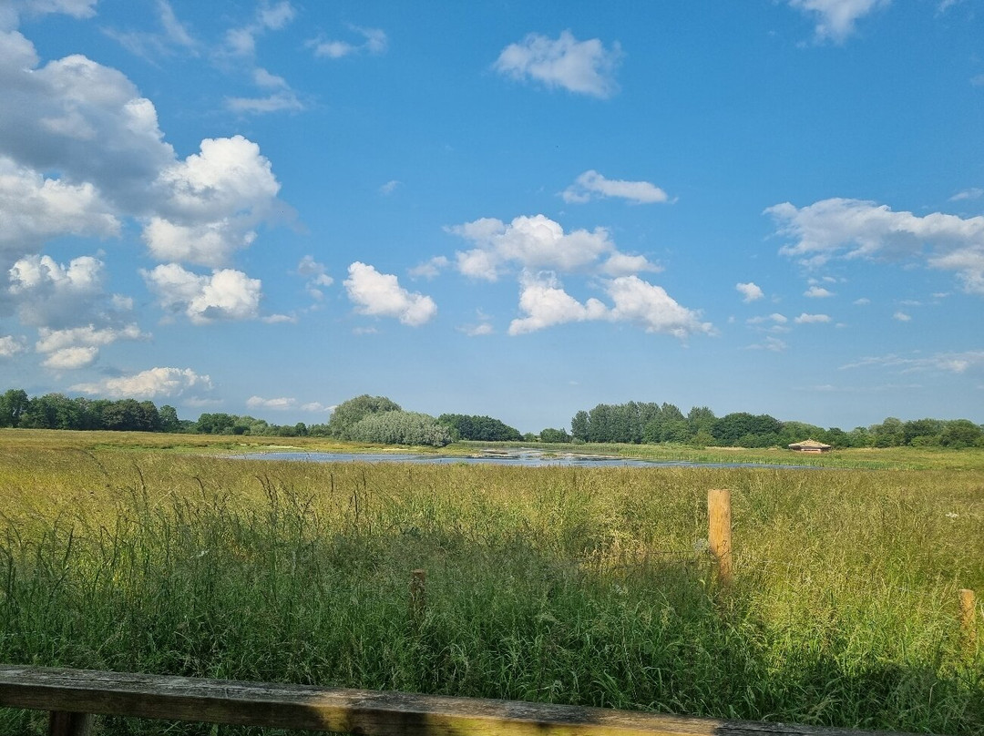 Staveley Nature Reserve景点图片