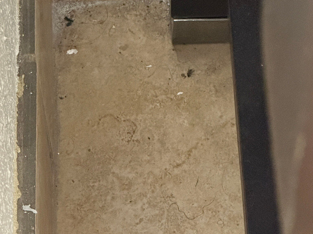 Quality Inn & Suites主图