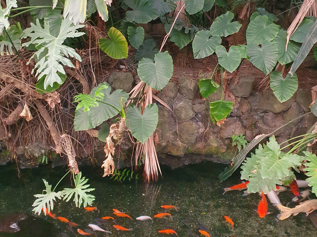 Ise Meotoiwa Interactive Aquarium (Ise Sea Paradise)-伊势市必去景点
