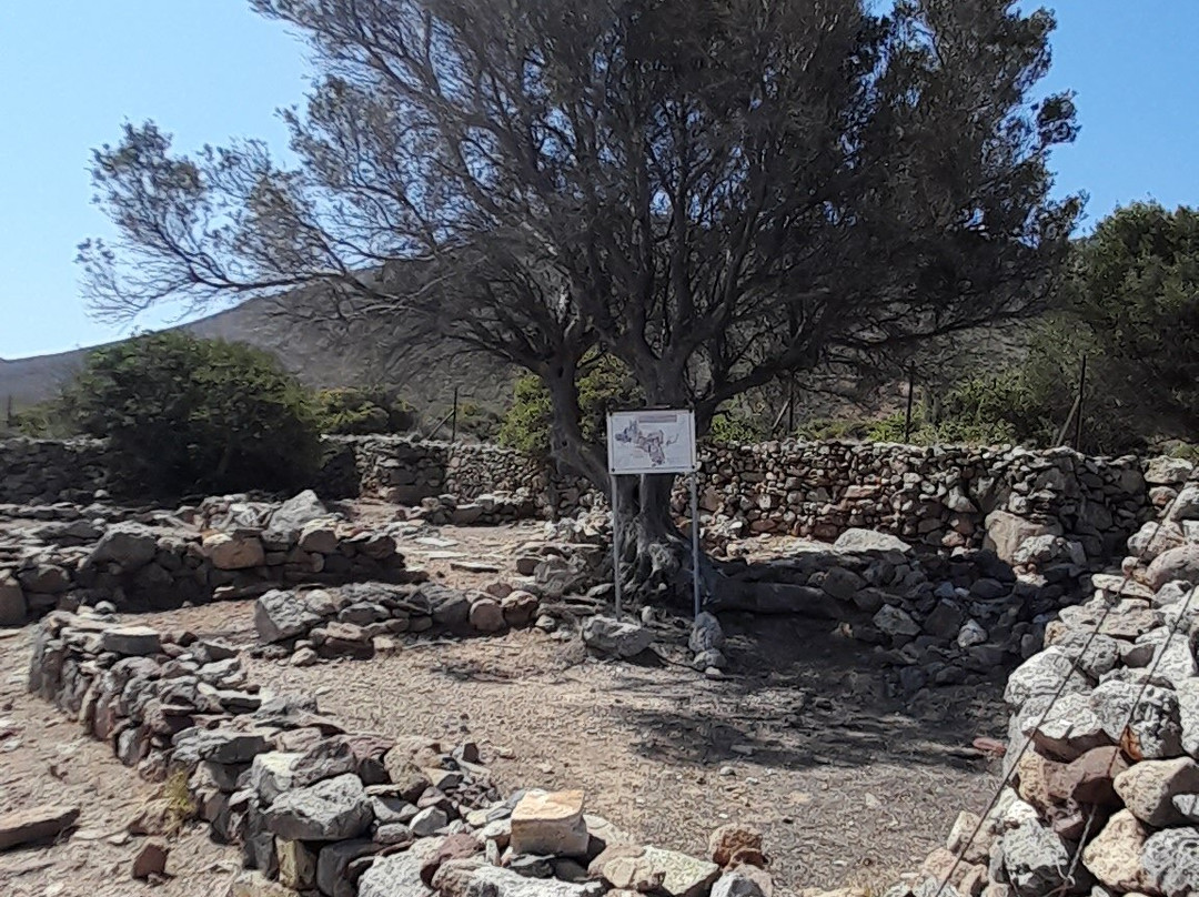 Archaeological Site Palekastro-Palaikastron必去景点