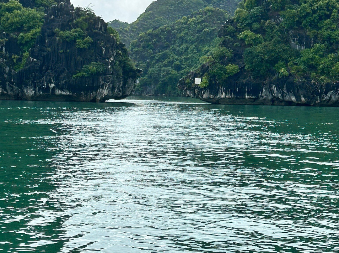 Cat Ba Package Tour-下龙湾必去景点