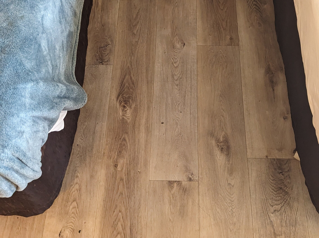 Econo Lodge Inn & Suites主图