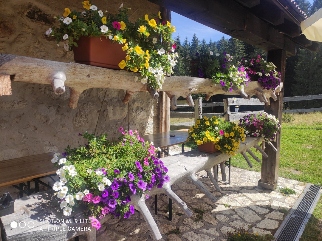 Malga Zochi - Maso Baron