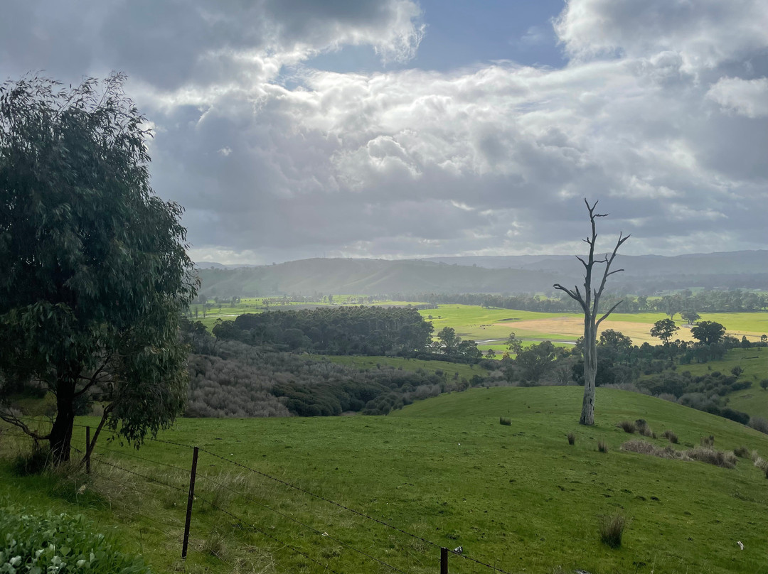 Acheron Cutting Lookout