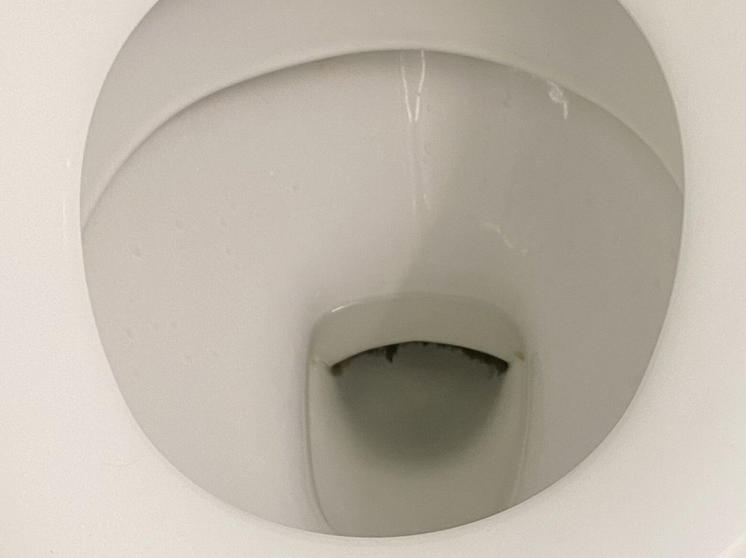 Kingsgate Hotel The Avenue Wanganui主图