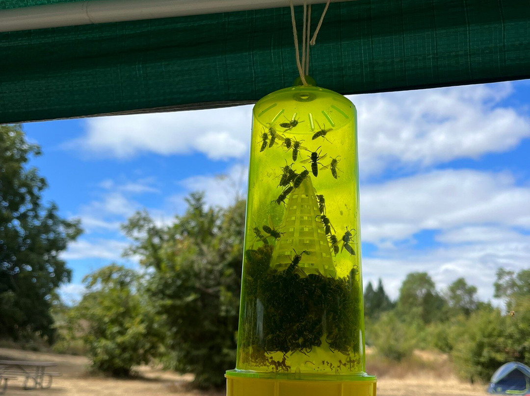 Willamette Mission State Park-塞勒姆必去景点