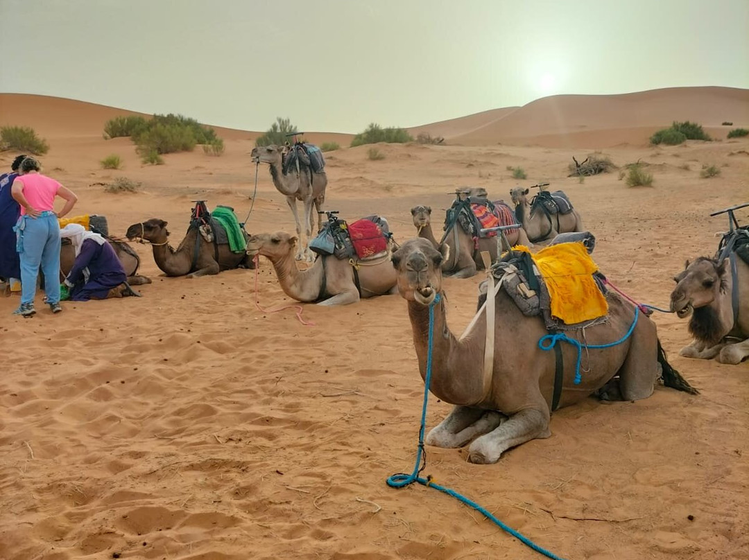 Morocco-Sahara-Tours-卡萨布兰卡必去景点