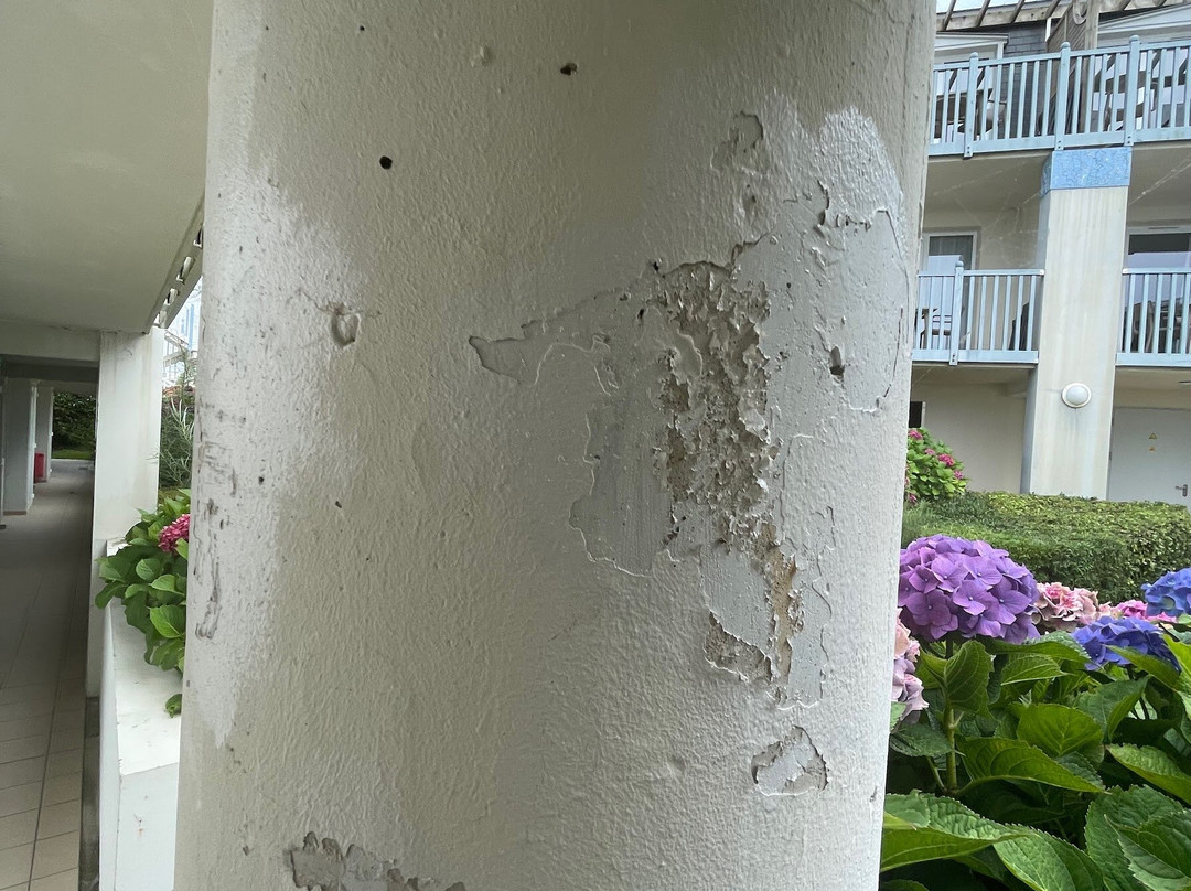 Pierre & Vacances Residence Premium Le Coteau et la Mer主图