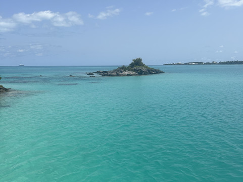 Bermuda Reef Explorer-汉密尔顿必去景点
