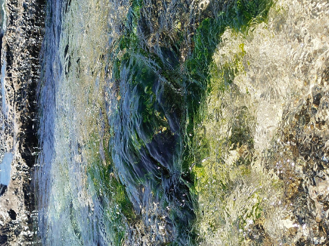 Sorgenti di Torre Vado-Torre Vado必去景点