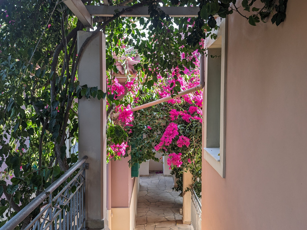 达夫诺迪公寓酒店主图