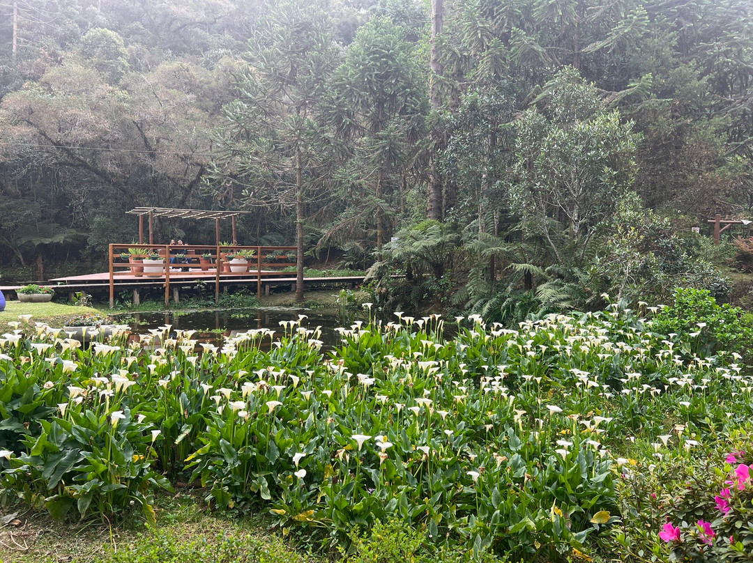 Bosque do Silêncio景点图片